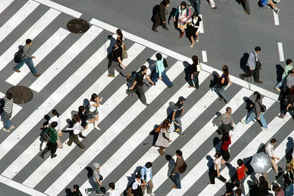 alt=Định kiến về năng lực làm việc của người lớn tuổi tại Nhật Bản