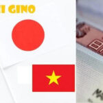 Giấy Senmonkyu là gì? Công dụng và cách xin lại khi bị mất 2024