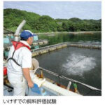 Tìm Hiểu Về Đơn Hàng Kỹ Sư Thủy Sản Đi Nhật