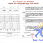 Giấy đánh giá của nghiệp đoàn cho thực tập sinh Nhật Bản là gì?