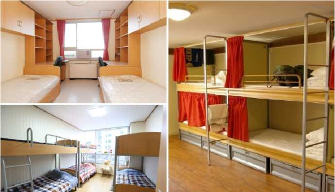 Cuộc sống du học sinh Nhật từ góc nhìn thực tế