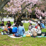 Các Kỳ Nghỉ của Du Học Sinh tại Nhật Bản