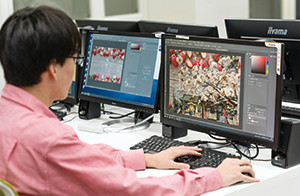 Ngành CNTT tại Nhật Bản