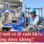 36 tuổi có đi Nhật được không? 35, 38, 45 tuổi có thể xklđ không?