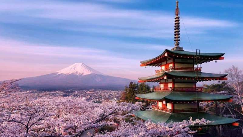 Người lao động theo dõi độ tuổi phù hợp từng ngành tại Nhật Bản