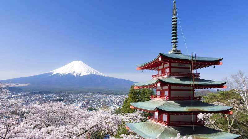 Người lao động tìm hiểu độ tuổi xuất khẩu lao động Nhật Bản