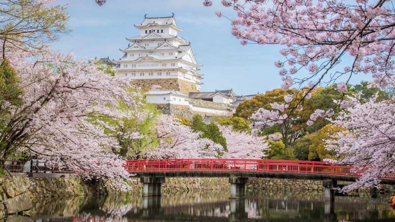 Phỏng vấn với đại diện Nhật Bản