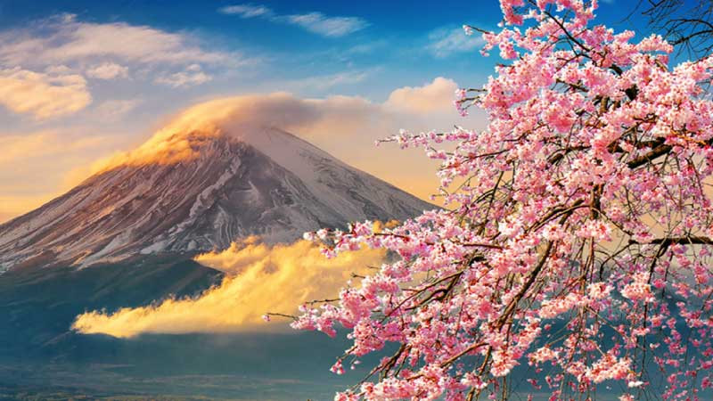 Tìm kiếm đơn hàng phù hợp