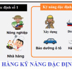 5 Lý Do Bạn Nên Tham Gia Đơn Hàng Kỹ Năng Đặc Định
