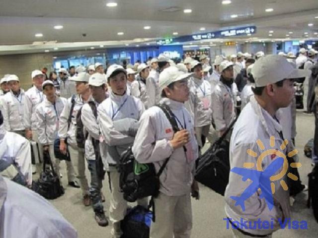 Bạn Đã Biết Gì Về Visa Tokutei Và Visa Tokutei Có Mấy Loại?