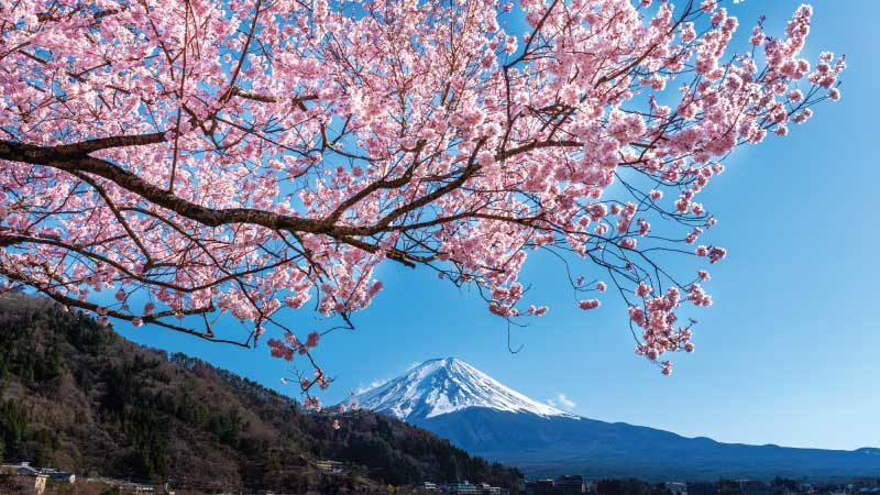 Chi phí và mức lương đi XKLĐ Nhật Bản 2024 bao nhiêu? Điều kiện đi XKLĐ Nhật Bản như thế nào?